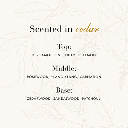 Wool & Cashmere Travel Duo